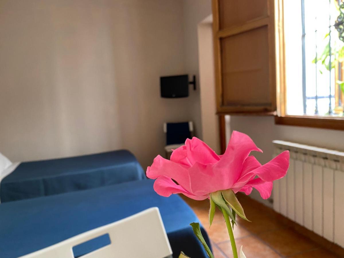 Hostal Moscatel Málaga Esterno foto